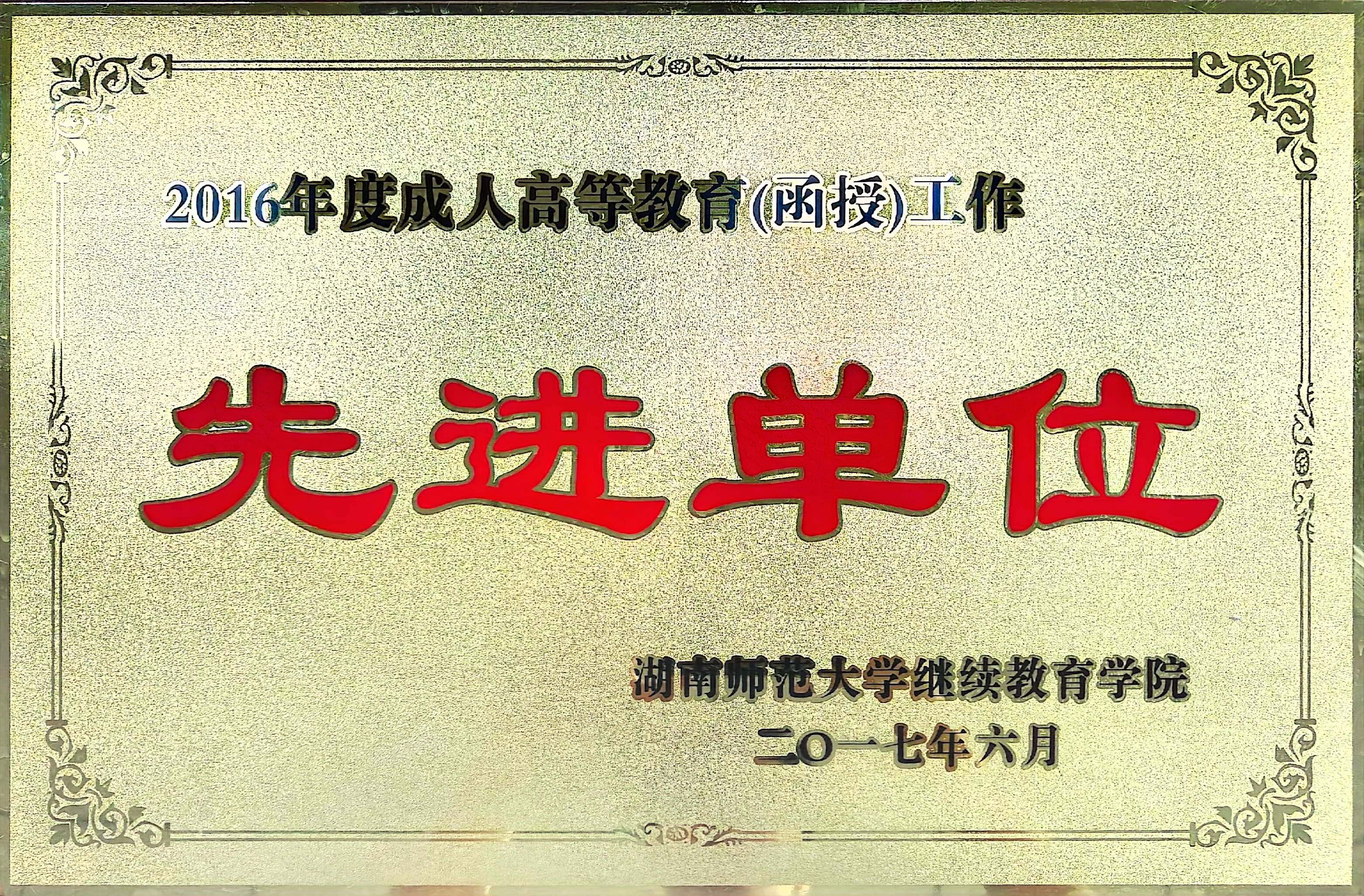 证书5